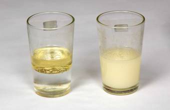 能量水杯 溶油实验